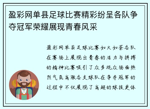 盈彩网单县足球比赛精彩纷呈各队争夺冠军荣耀展现青春风采