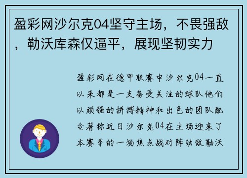 盈彩网沙尔克04坚守主场，不畏强敌，勒沃库森仅逼平，展现坚韧实力