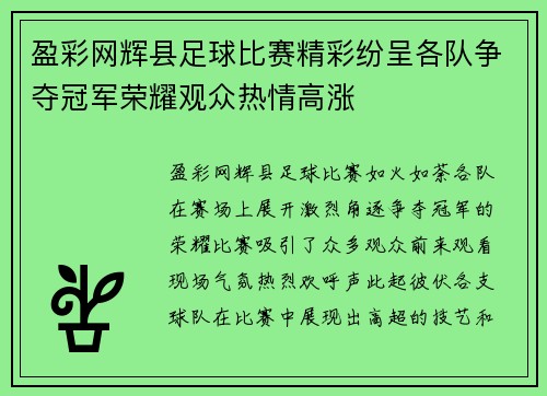 盈彩网辉县足球比赛精彩纷呈各队争夺冠军荣耀观众热情高涨