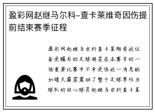 盈彩网赵继马尔科-查卡莱维奇因伤提前结束赛季征程