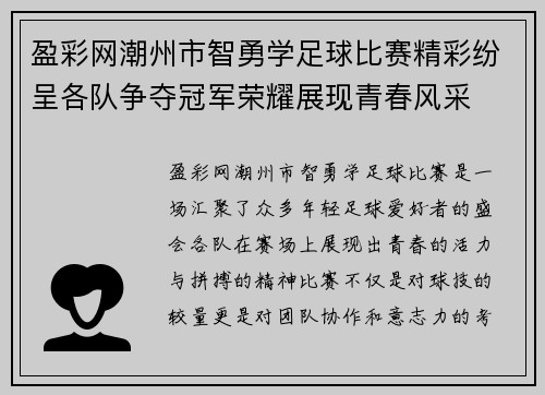 盈彩网潮州市智勇学足球比赛精彩纷呈各队争夺冠军荣耀展现青春风采
